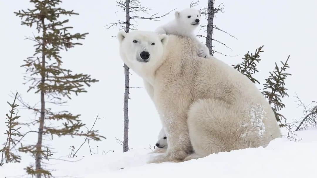 National Geographic Travelのインスタグラム