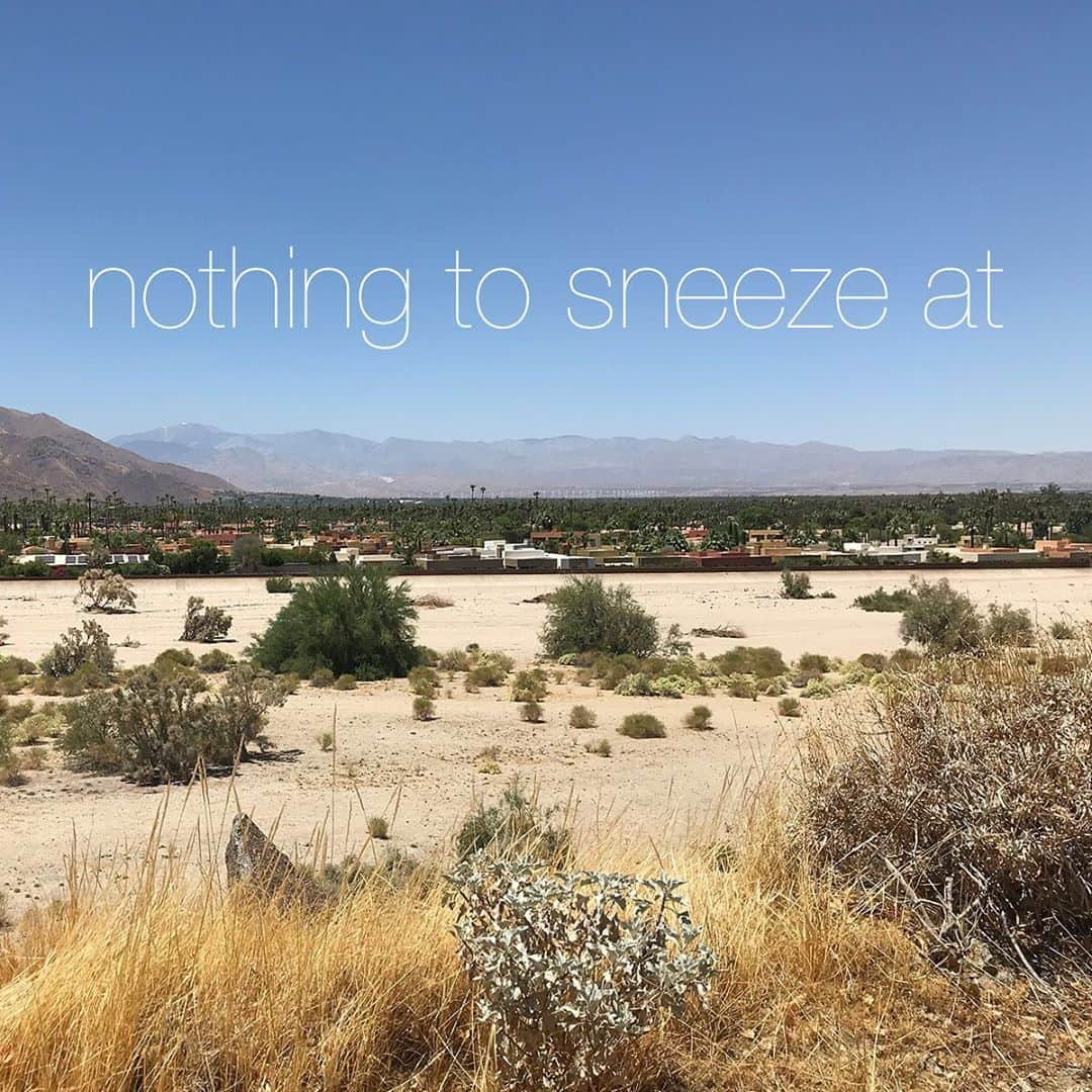 のインスタグラム：「今日紹介するイディオム”nothing to sneeze at”ですが、「大事じゃなくないもの・くしゃみであしらうような些細なことではない」という意味で使われるんです🤧 花粉症とか全く関係ないのです〜 A: “Ugh I didn’t get first place in the baking competition last night! I’m so disappointed!” B: “Oh come on! Second place out of 60 contestants is nothing at sneeze at!”👏🏻 A:「昨夜のお菓子作りコンテストで1位獲れなかったの！自分に失望したわ。」 B:「いやいや！60人中の2位だよ。凄いよ！」👏🏻 とっても 面白い表現ですよね😲！ . #usa #america #studyabroad #livinginamerica #idioms #phrases #nothingtosneezeat #sneeze #studyathome #bluesky #アメリカ #アメリカ生活 #留学 #イディオム #フレーズ #青空 #英会話 #自宅学習 #英語の勉強 #面白い表現 #広い空 #花粉症」