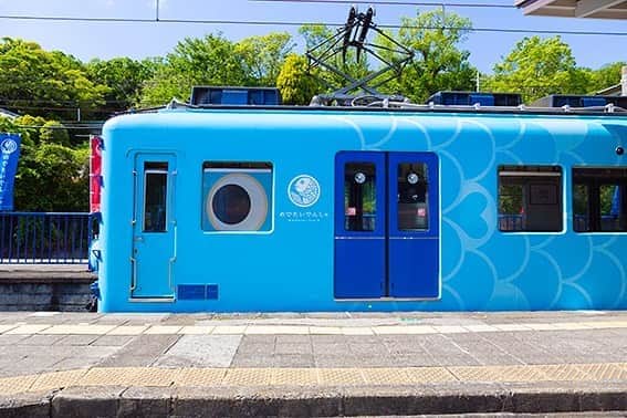 きいちゃんさんのインスタグラム写真 - (きいちゃんInstagram)「真っ青の“めでたい電車・かい“。他にも赤色の”さち”とピンク色の“なな”という電車があります。南海電鉄のこれらの電車は、単なる交通手段ではないんです。  和-nagomi- 第４２号　「地域の人々と鉄道会社の絆から始まる物語」  https://www.pref.wakayama.lg.jp/prefg/000200/nagomi/index.html  #和歌山県　#和歌山　#和歌山県総合情報誌　#和-nagomi-　#nagomi　#絆  #めでたい電車　#かい　#さち　#なな　#南海電鉄　#加太線」9月10日 17時35分 - wakayamapref_pr