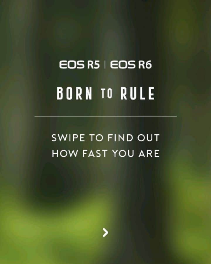 Canon Asiaのインスタグラム：「None of us can keep up with a woodpecker, but the EOS R5 and EOS R6 can thanks to the CMOS sensor and DIGIC X processing power which can capture up to 20 frames per second. . Combined with Animal Detection AF, wildlife photographers can now capture their unpredictable subjects faster and sharper than ever before. Never miss your golden shot again. . Born To Rule Them All. . #canonasia #photography #explore #eosr5 #eosr6 #animaldetection #colours #canon #lens #inspiration」
