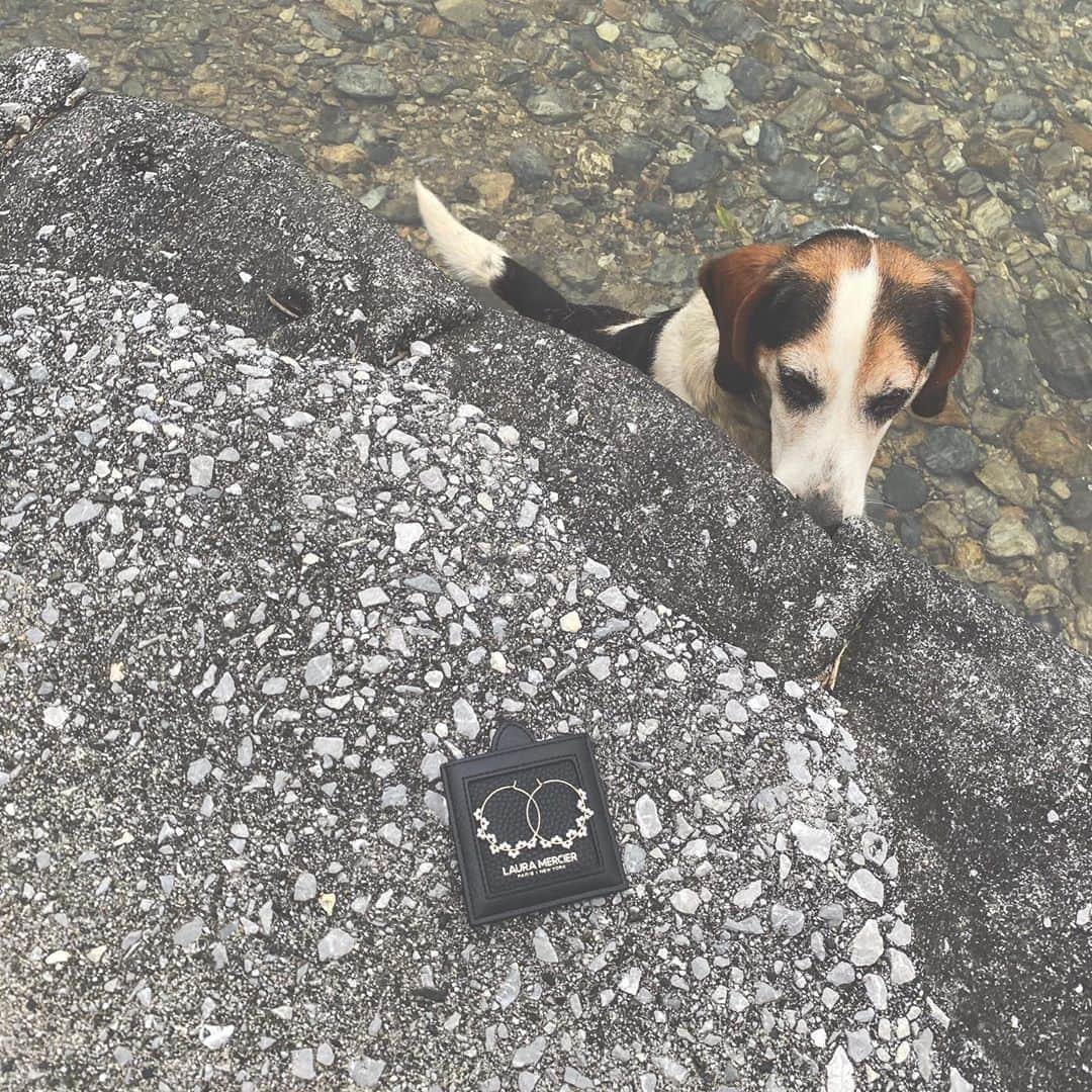 岡村咲さんのインスタグラム写真 - (岡村咲Instagram)「ジョンに会いたいなあ。 @nina_umbrella_project  #ジョンのいる暮らし #犬のいる暮らし」9月10日 17時38分 - sakiokamura_official