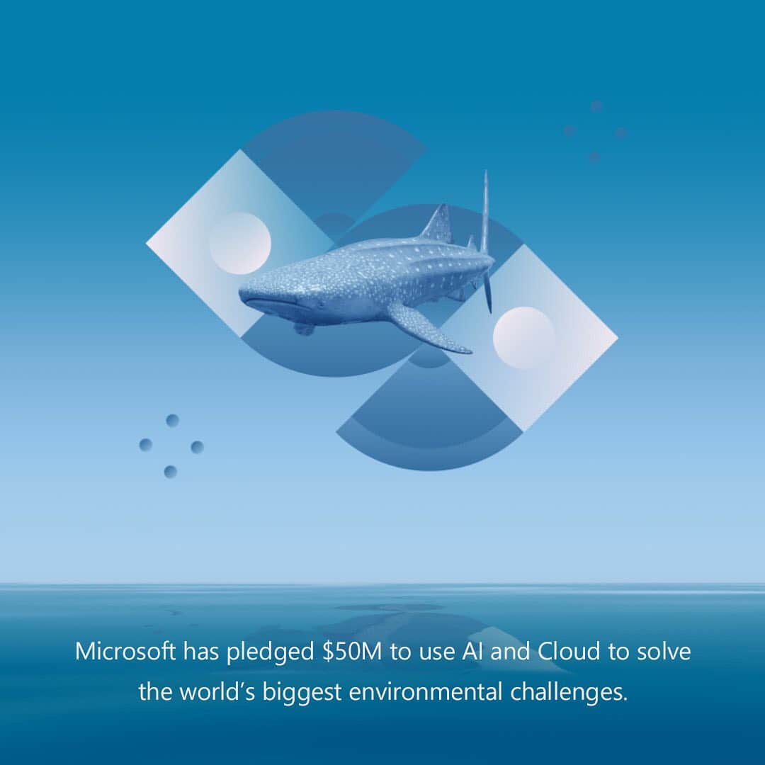 Microsoftさんのインスタグラム写真 - (MicrosoftInstagram)「Explore Microsoft’s commitment to sustainability, by the numbers. 🌎🌱🐝🐋」9月11日 4時46分 - microsoft