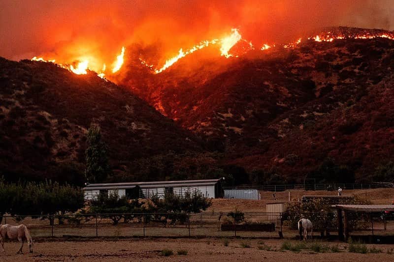 Lana Zakocelaさんのインスタグラム写真 - (Lana ZakocelaInstagram)「This is my first year in California during the fires that massive. And my heart brakes! I woke up with the fire smell in my house. I feel that my heart is trembling. Los Angeles is under a thick smoke of cloud. Im just thinking of those that are going through the worst unimaginable experience. So much sadness for California! So much sadness for all the animals and all the beautiful nature! 💔😔」9月11日 3時25分 - lanazakocela