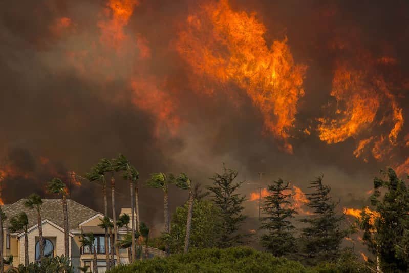 Lana Zakocelaさんのインスタグラム写真 - (Lana ZakocelaInstagram)「This is my first year in California during the fires that massive. And my heart brakes! I woke up with the fire smell in my house. I feel that my heart is trembling. Los Angeles is under a thick smoke of cloud. Im just thinking of those that are going through the worst unimaginable experience. So much sadness for California! So much sadness for all the animals and all the beautiful nature! 💔😔」9月11日 3時25分 - lanazakocela
