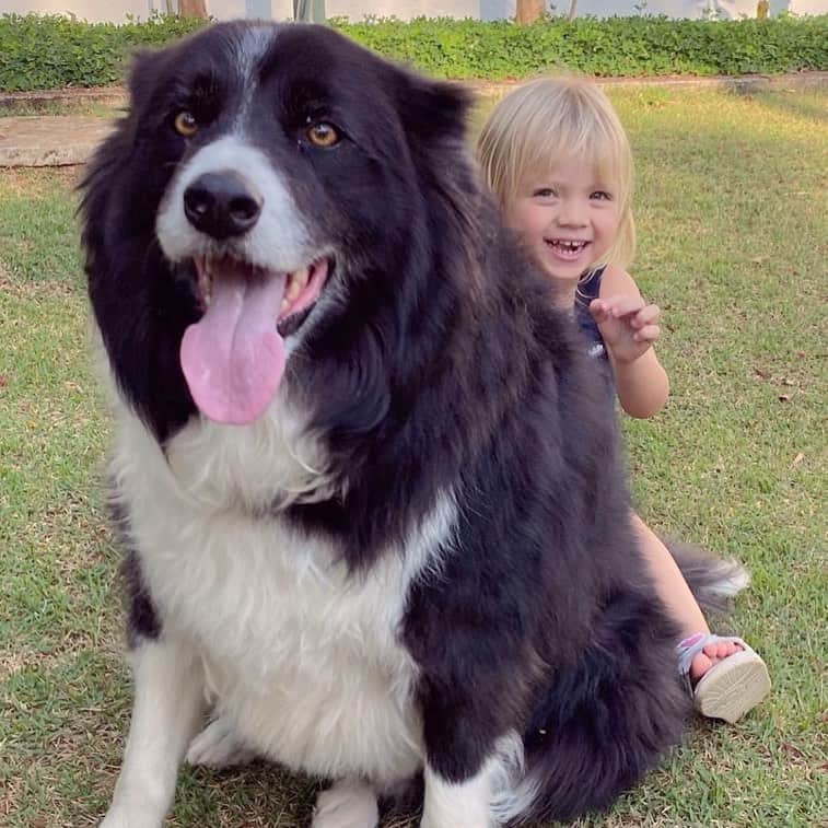Eliana Michaelichin Bezerraのインスタグラム：「Ela é feliz! Ela é iluminada! Ela ama os animais. Ela é generosa! Ela ama dançar e cantar! Ela faz 3 aninhos!! Ela é Manuela! Parabéns meu amor❤️ 🙏🏻#manuelamrseminstagram #mariapassanafrente #maedemenina #maedemenino #familia #amorincondicional」