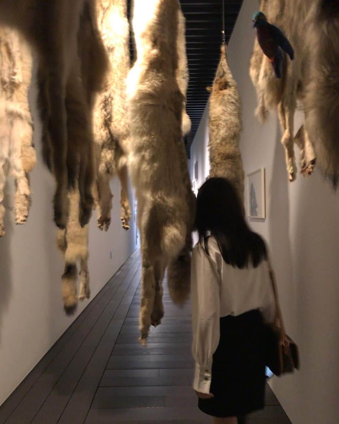 としお理歩のインスタグラム：「#artizonmuseum 🌛」