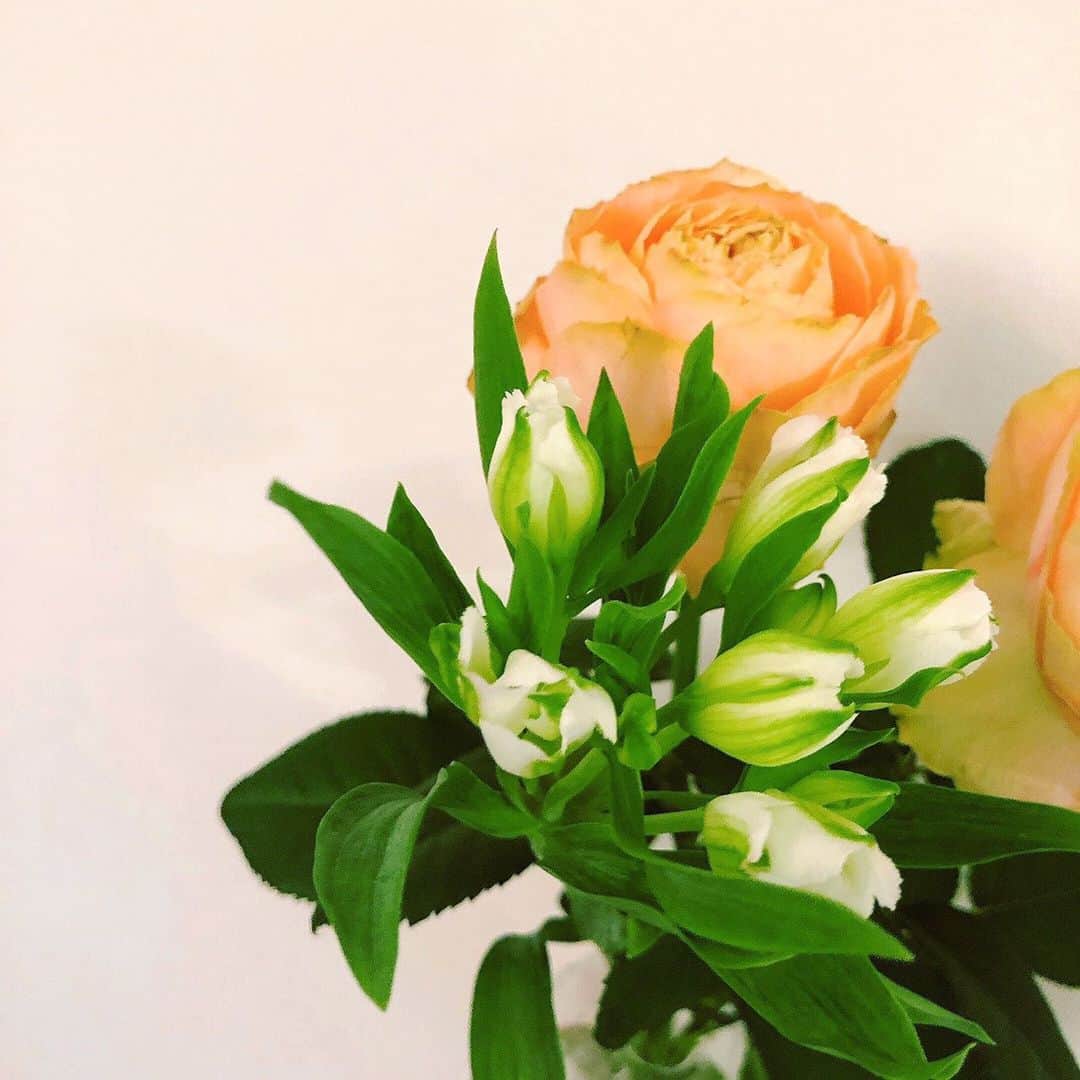 水谷果穂さんのインスタグラム写真 - (水谷果穂Instagram)「これから咲く、 まだつぼみのお花を選びました👶🌱 どんな風に咲くのか 楽しみです✨☁️」9月10日 20時05分 - kahomizutani_official