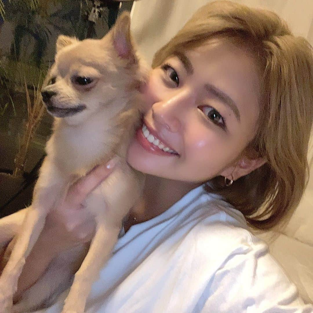 今井夏帆さんのインスタグラム写真 - (今井夏帆Instagram)「おつかれサマ〜🐶💛💛」9月10日 20時26分 - babysantokyo