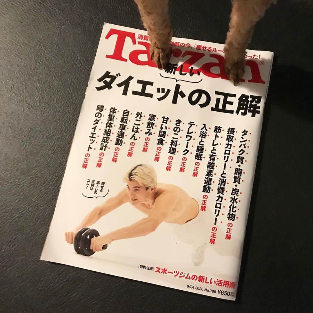 棚橋弘至さんのインスタグラム写真 - (棚橋弘至Instagram)「発売中の #Tarzan に、コラム「モテ筋肉でいいじゃないか☆」が掲載されています(隔週連載)。今回のテーマは「モテ食事」です！…ハナ、踏んだらあかん🙅‍♂️」9月10日 20時22分 - hiroshi_tanahashi