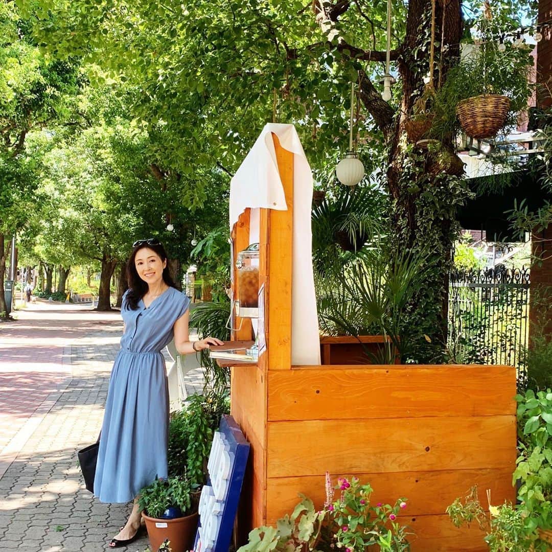 藤田陽子のグルメインスタ