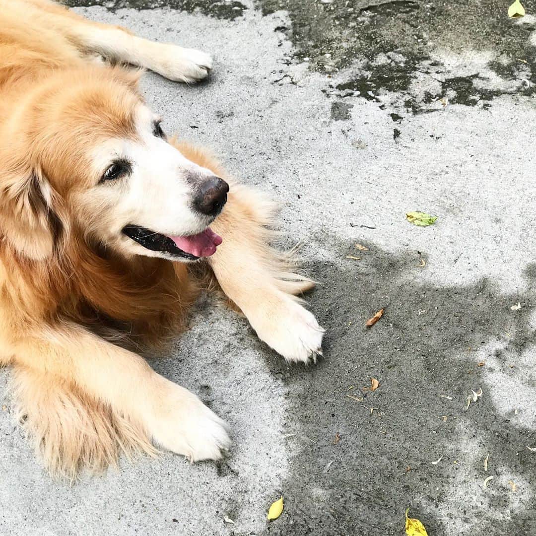 Hoykong&Plamuekのインスタグラム：「Chilling 🧡」