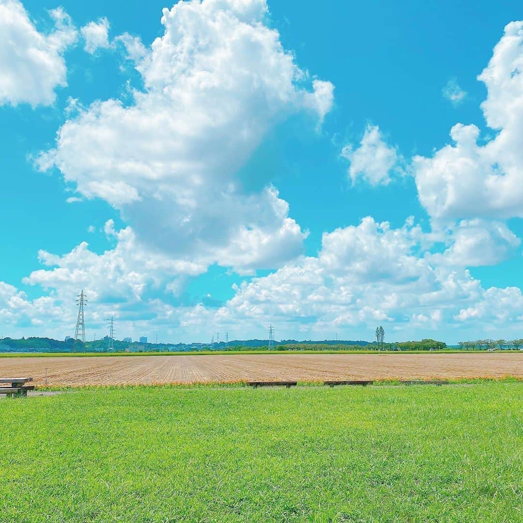 山田なる（ナルハワールド）さんのインスタグラム写真 - (山田なる（ナルハワールド）Instagram)「💙☁️﻿ ﻿ ﻿ ﻿ 青空も花も綺麗でした💐﻿ ﻿ ﻿ #新曲 #ティザー映像 #撮影 #映えスポット #映え #お花畑 #花 #青空 #青い空 #夏の思い出」9月10日 21時11分 - naruhaw