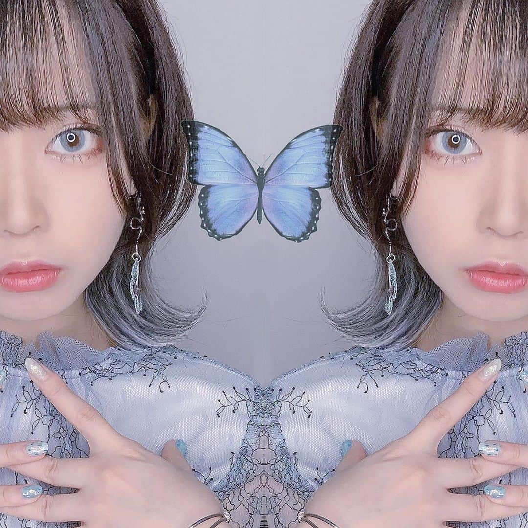 ねおきまこさんのインスタグラム写真 - (ねおきまこInstagram)「🦋🦋🦋  #earring #pierce #butterfly #accessory #蝶 #blue #fashion」9月10日 21時35分 - niinamako