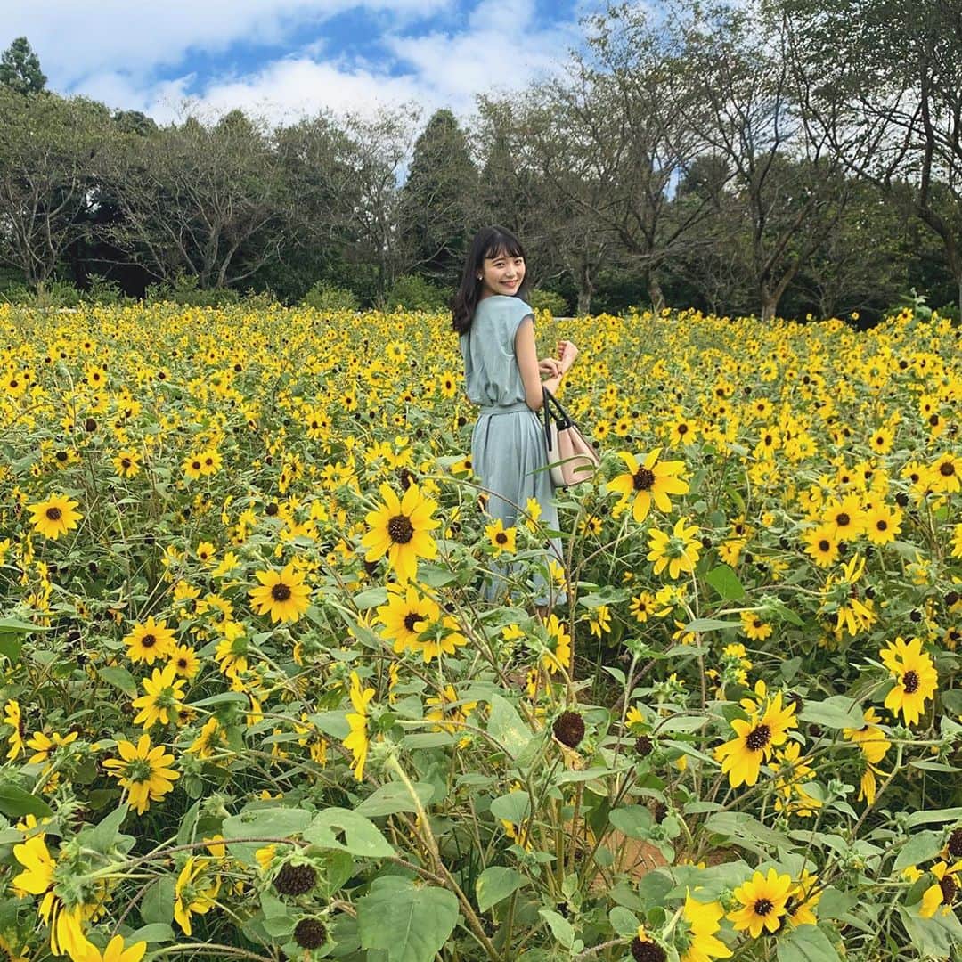 山田麻由のインスタグラム：「.﻿ ﻿ ﻿ ﻿ ﻿ 🌻🌻🌻﻿ ﻿ ﻿ ﻿ ﻿ ﻿ ﻿ ﻿ ﻿ #ひまわり畑#ひまわり#sunflower#撮影#撮影モデル#被写体#サロンモデル #サロモ #ポートレート#ポートレートモデル#ポートレート女子」