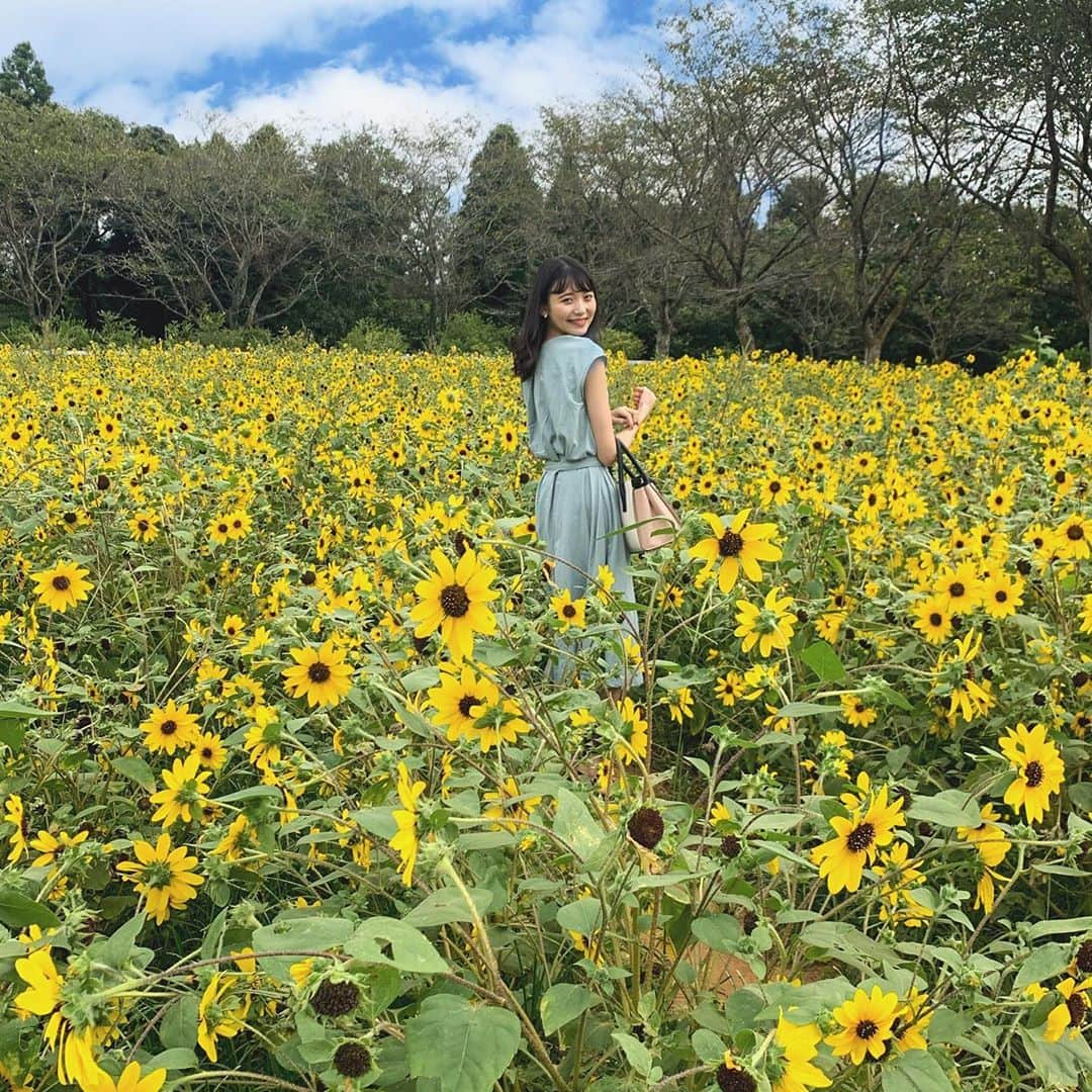 山田麻由さんのインスタグラム写真 - (山田麻由Instagram)「.﻿ ﻿ ﻿ ﻿ ﻿ 🌻🌻🌻﻿ ﻿ ﻿ ﻿ ﻿ ﻿ ﻿ ﻿ ﻿ #ひまわり畑#ひまわり#sunflower#撮影#撮影モデル#被写体#サロンモデル #サロモ #ポートレート#ポートレートモデル#ポートレート女子」9月10日 21時53分 - mayu_yamada_