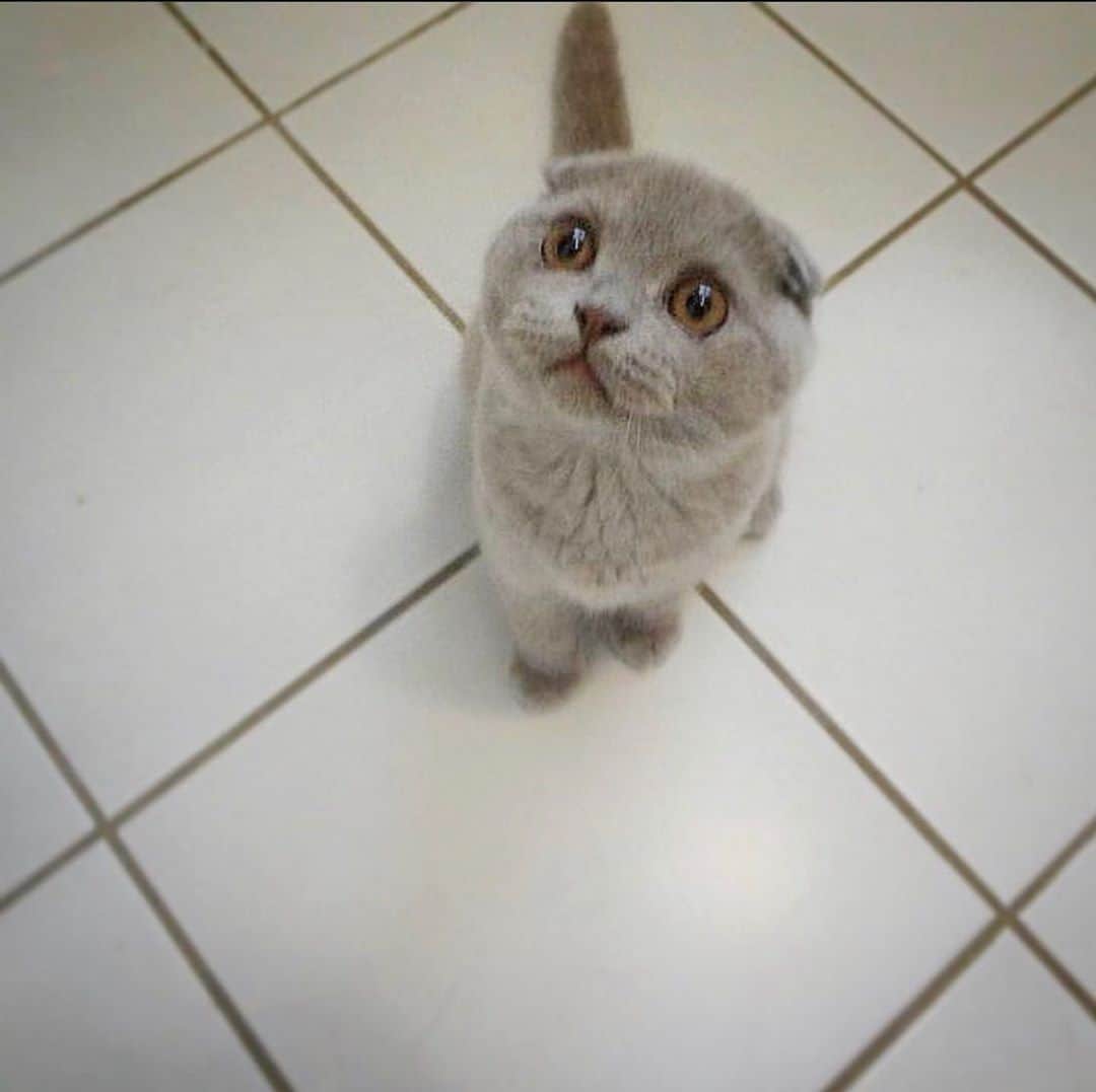 Millaのインスタグラム