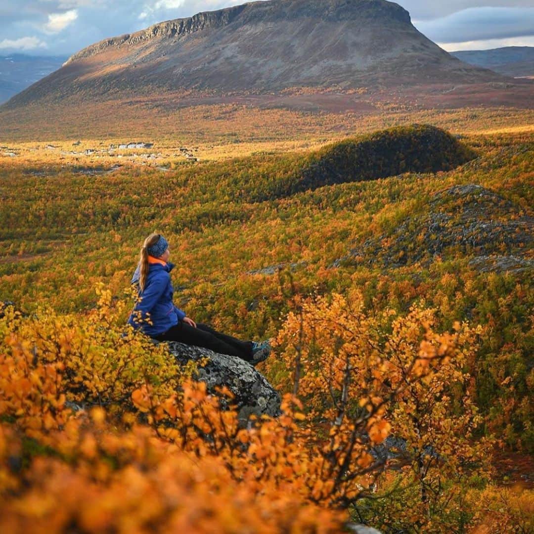 フィンランド政府観光局さんのインスタグラム写真 - (フィンランド政府観光局Instagram)「キルピスヤルヴィの秋。背景にあるサーナは、キルピスヤルヴィの村のすぐ隣にあって、この地域のどこからでも見えます。簡単に見分けがつく形なのでフィンランドで一番有名な岩山と言われています。 ． @suvimansikka さんの写真。Kiitos！」9月10日 22時53分 - visitfinlandjapan