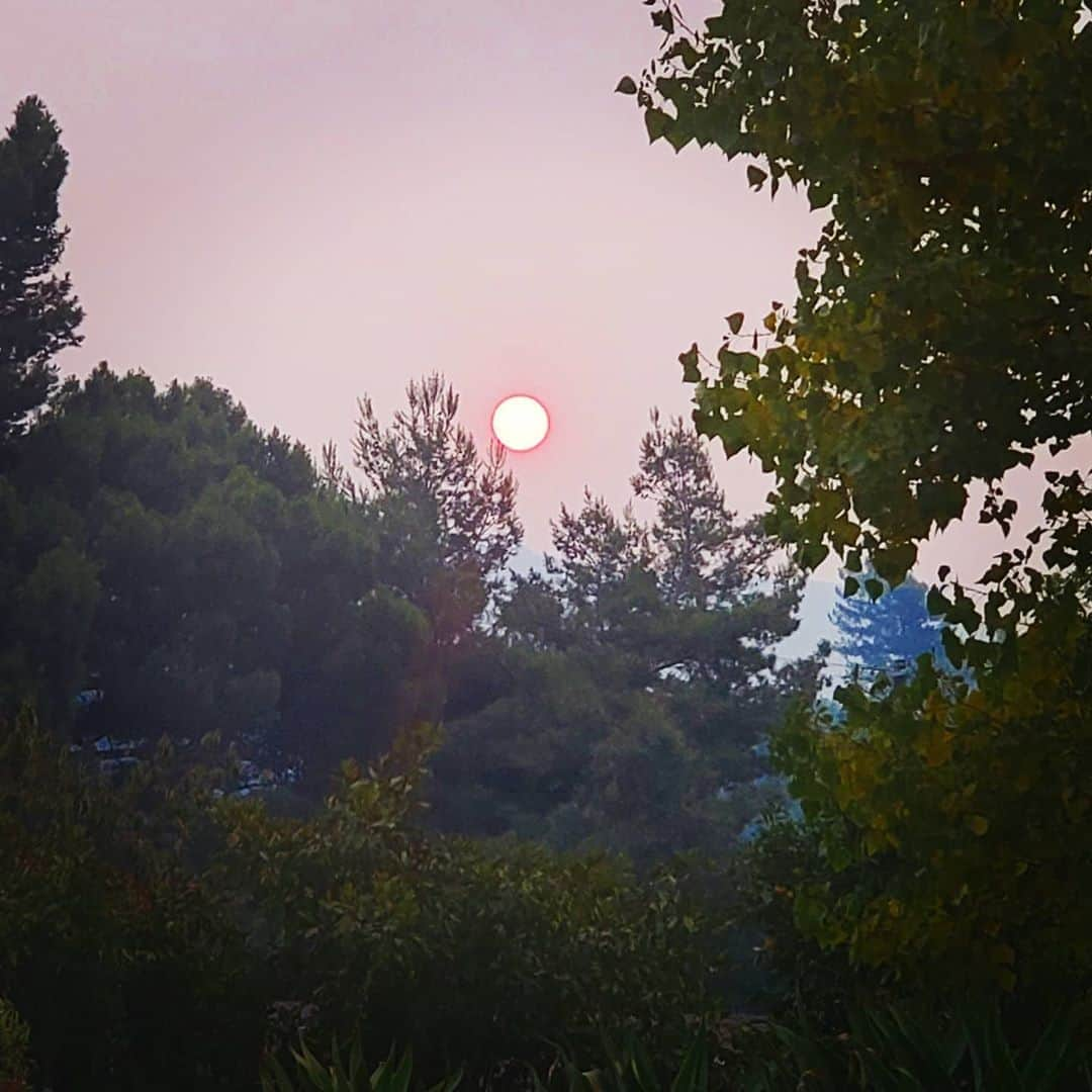 ガソリングラマーさんのインスタグラム写真 - (ガソリングラマーInstagram)「Morning sun smoke #shadowhills #wildfires #wildfire 😷😒🔥☀️」9月10日 23時13分 - gasolineglamour