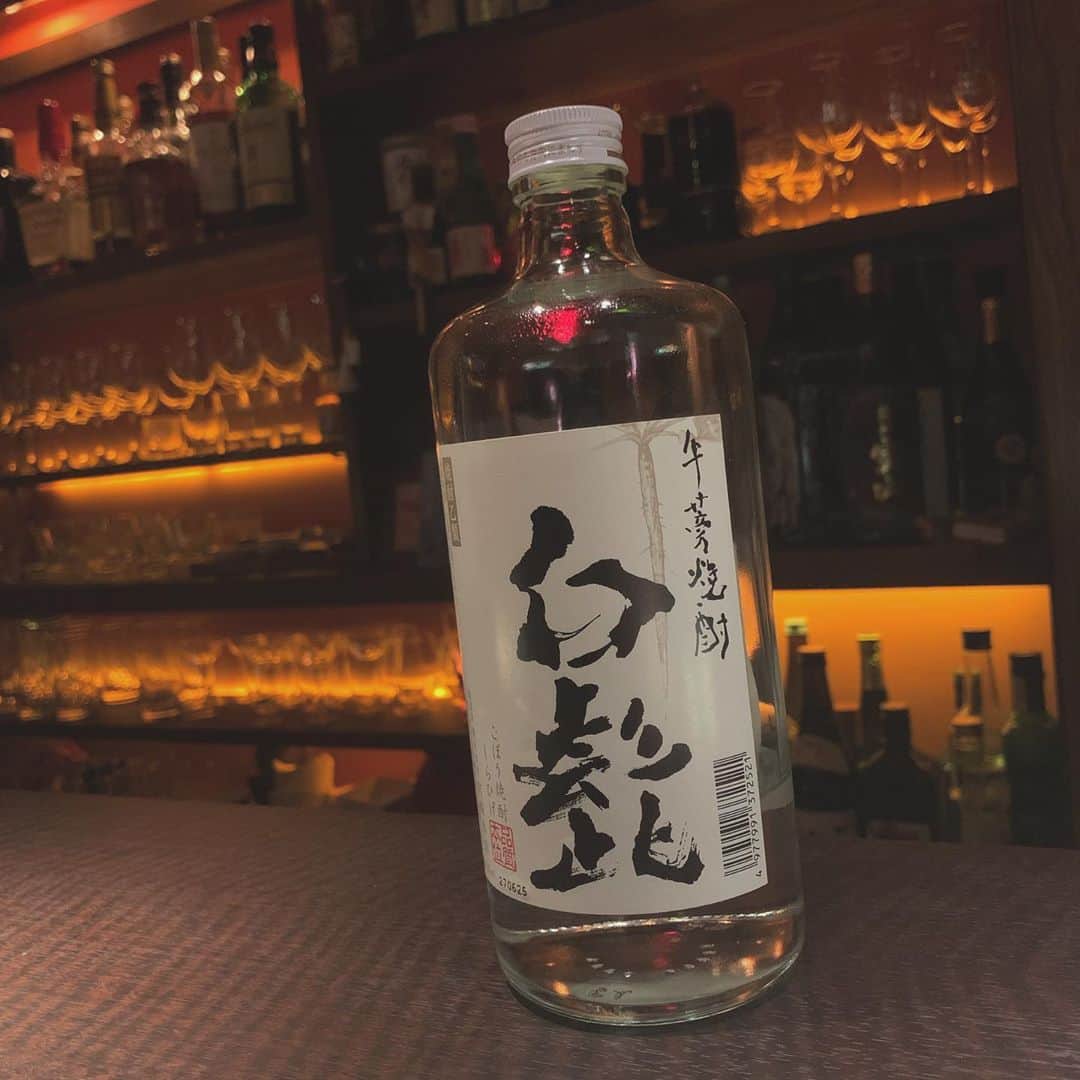 のインスタグラム：「ゴボウ焼酎初めて飲んだ！  すごいゴボウの風味だった！ 美味しかった！ 三重県の白髭ってお酒☺️  #焼酎 #お酒 #ゴボウ焼酎 #bar」