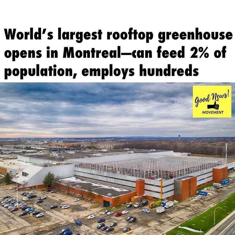 ブリジット・モイナハンさんのインスタグラム写真 - (ブリジット・モイナハンInstagram)「So smart!!! • #repost @goodnews_movement (Montreal, Canada): At 163,800 square feet (close to three football fields), Lufa Farms atop of a defunct warehouse in the borough of Saint-Laurent is the largest rooftop greenhouse on the planet. It can grow food for  10,000 families, and produces enough to feed 2% of the city, while employing hundreds in the past months. The vegetables are grown inside hydroponic containers lined with coconut coir, no pesticides are used — bees pollinate the plants and ladybugs provide pest control. Rainwater is used for irrigation, and it uses a composting system.  "It’s an unbelievable step forward for hyper-local, sustainable urban farming,” said Mohamed Hage, Co-Founder and CEO of Lufa Farms. 📷: @lufafarms」9月11日 0時10分 - bridgetmoynahan