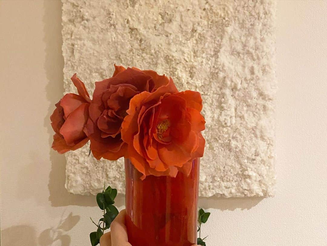 高橋愛さんのインスタグラム写真 - (高橋愛Instagram)「ㅤㅤㅤㅤㅤㅤㅤㅤㅤㅤㅤㅤㅤ ㅤㅤㅤㅤㅤㅤㅤㅤㅤㅤㅤㅤㅤ 田中さんからのお花と FFRKさんからいただいた お花たち。 ㅤㅤㅤㅤㅤㅤㅤㅤㅤㅤㅤㅤㅤ ㅤㅤㅤㅤㅤㅤㅤㅤㅤㅤㅤㅤㅤ いろんなところに ㅤㅤㅤㅤㅤㅤㅤㅤㅤㅤㅤㅤㅤ いろんなお花を。 ㅤㅤㅤㅤㅤㅤㅤㅤㅤㅤㅤㅤㅤ ㅤㅤㅤㅤㅤㅤㅤㅤㅤㅤㅤㅤㅤ  めちゃ　きれい。 ㅤㅤㅤㅤㅤㅤㅤㅤㅤㅤㅤㅤㅤ ㅤㅤㅤㅤㅤㅤㅤㅤㅤㅤㅤㅤㅤ お尻の花瓶も お気に入り🤍 ㅤㅤㅤㅤㅤㅤㅤㅤㅤㅤㅤㅤㅤ  ㅤㅤㅤㅤㅤㅤㅤㅤㅤㅤㅤㅤㅤ #おはなのあるくらし  #おはなのある暮らし  #おはなのある生活  #きいろといえばわたし #お祝いのお花 #感謝！」9月11日 2時03分 - i_am_takahashi
