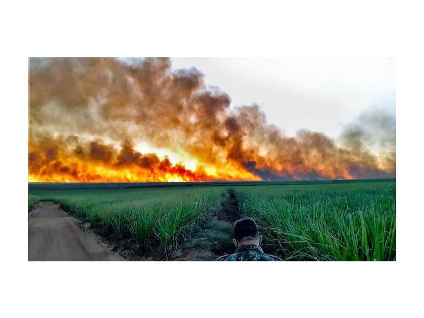 ジュリアナ・パエスのインスタグラム：「A única maneira de resolver um problema é reconhecer que ele existe!!!! A tragédia ambiental no Pantanal não pode ser ignorada... precisa ser assumida, precisa de medidas mitigadoras, de atitudes urgentes e ações para futuras prevenções pq o fogo não é facilmente controlável!!!!! Governos e governantes, trabalhem em conjunto!! Isso é uma prioridade, sim!!!!!」