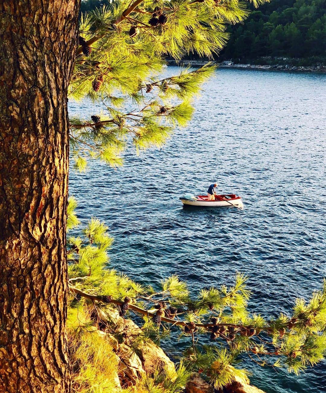 コナー・フランタのインスタグラム：「oh to be an old man on an old boat fishing the daylight away」