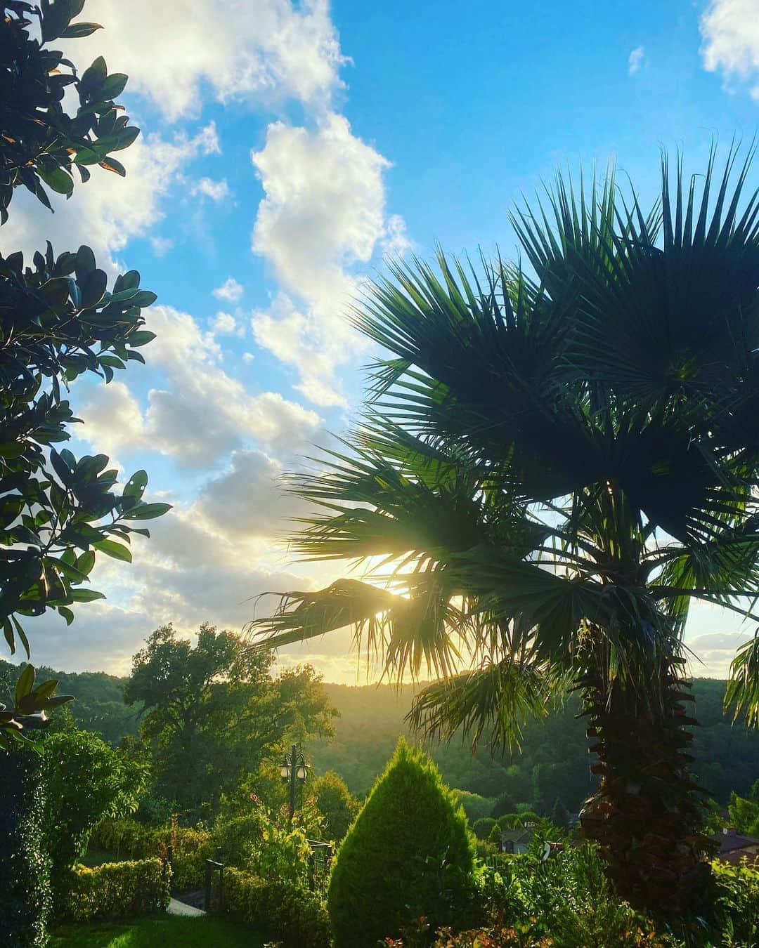 Mine Tugayのインスタグラム：「🙏🏻🌿」