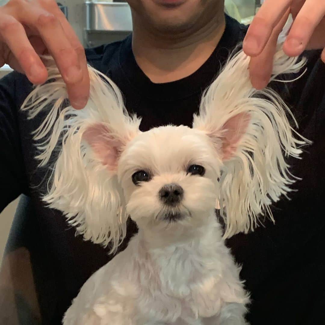 ホ・ジョンミンのインスタグラム：「아이씨바....적당히해라.....」