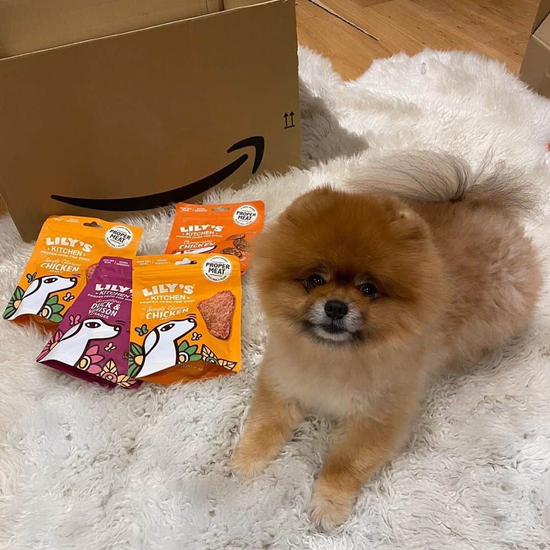 ジョージア・コウソウロウのインスタグラム：「Everyone knows how much Monkey means to me so when I saw that @amazonuk were celebrating #AmazonPetsDays I couldn’t wait to treat Monkey to some of his favourite things. The sale is live until 12th September so it’s the perfect time to say thank you to your special pets 🧡🐾 #AD」