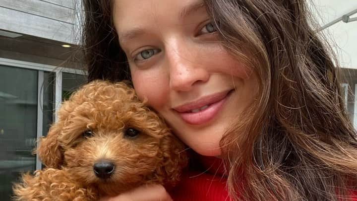 エミリー・DiDonatoのインスタグラム：「Taking you on the road with me and my best friend @christinalynnuribe to go pick up my sweet @frizzyizzythedoodle ! 🐶I’ve been waiting for Izzy for months and she has totally changed my life. Excited to share my first few days with her with all of you! ❤️🐶💕Link in BIO!!」