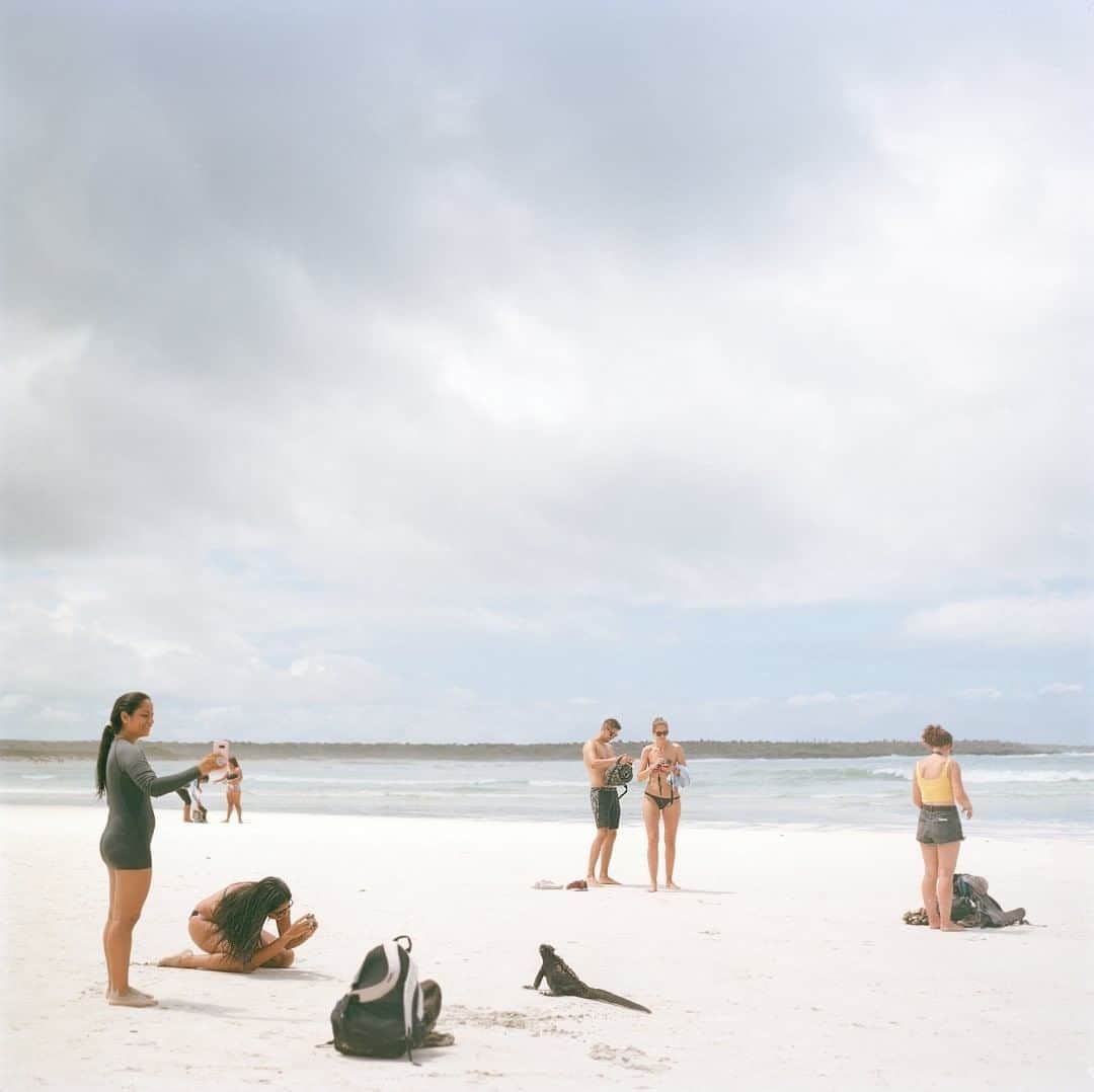 National Geographic Travelさんのインスタグラム写真 - (National Geographic TravelInstagram)「Photo by @amritachandradas  Tourists take photographs of a marine iguana resting at Tortuga Bay on Santa Cruz Island, Galápagos. While tourism brings substantial revenue to the Galápagos Islands, conservationists say that the steep increase in tourism could foster huge risks to the wildlife if not monitored closely. Galápagos National Park continues to keep strict control over the amount of visitors allowed in each area per year to protect the biodiversity of the islands, however, the positive and negative impacts of tourism continue to be debated.  Follow me @amritachandradas for more photos from around the world. #Galápagos #Ecuador #marinaiguanas #tourism」8月18日 5時11分 - natgeotravel