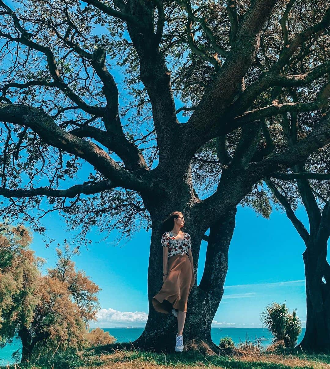 リン・ハッチソンさんのインスタグラム写真 - (リン・ハッチソンInstagram)「Who likes trees 😀😀😀😀😀😀😀😀😀😀😀😀😀😀😀😀😀😀😀😀😀😀😀🤭🤭🤭🤭🤭」8月18日 5時44分 - lynnekarinahutch