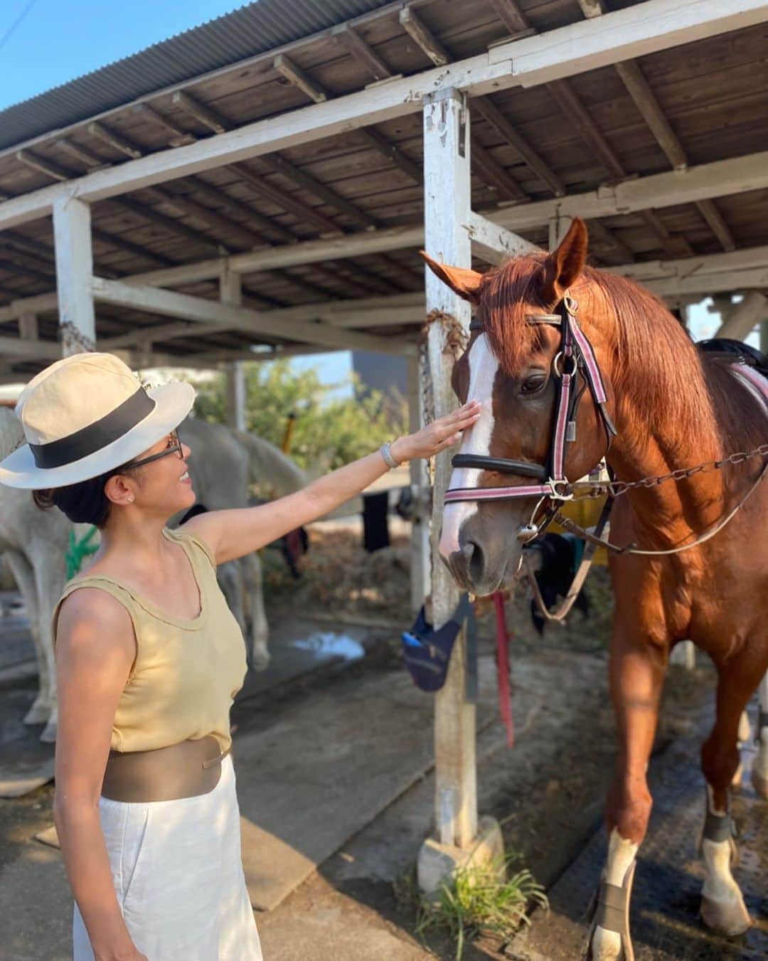 金子エミさんのインスタグラム写真 - (金子エミInstagram)「馬、大好き❤🐎 今日もクロちゃんに癒されに 会いに行きたいくらい。  #一ノ宮乗馬センター #乗馬 #馬」8月18日 6時15分 - emikaneko1114