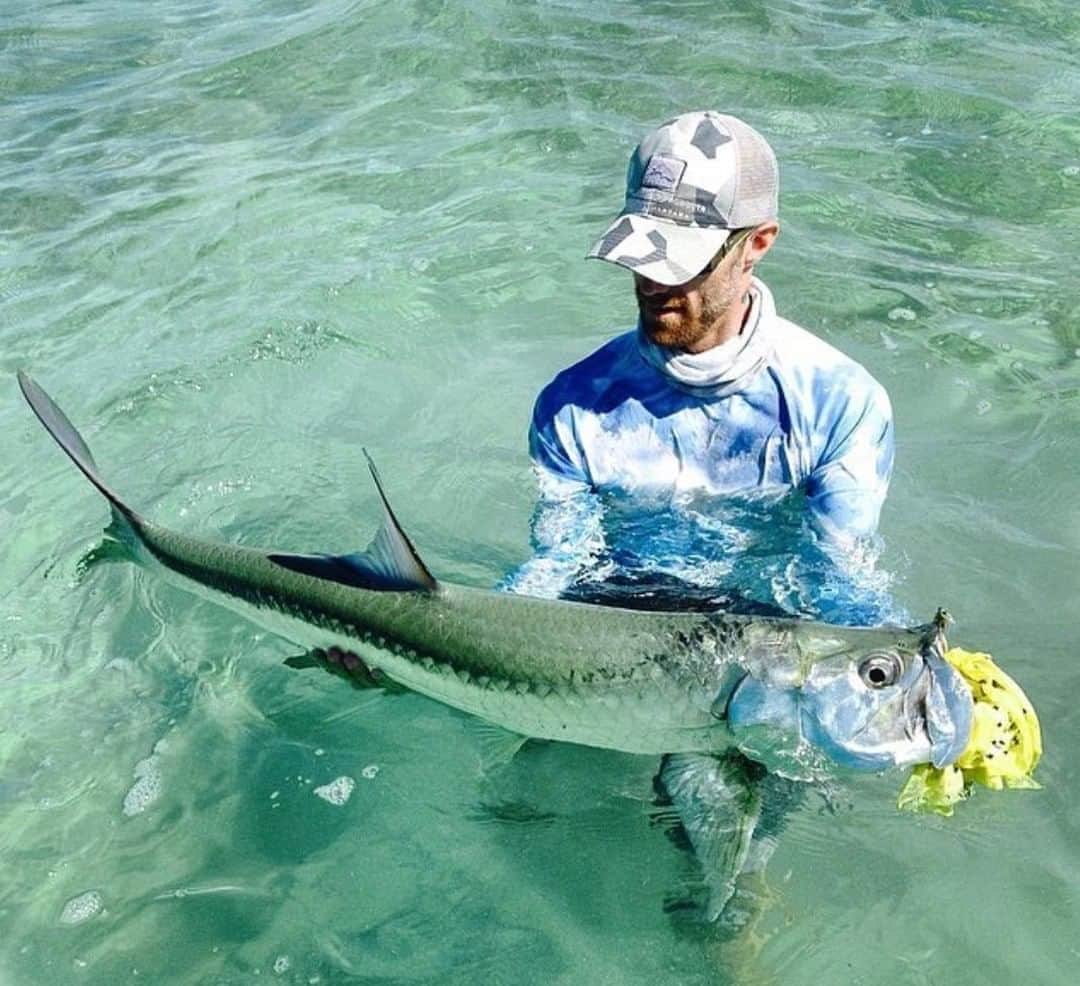 のインスタグラム：「Silver mine in the shallows. 📷: @belizefly #SeeWhatsOutThere #BornOnTheWater」