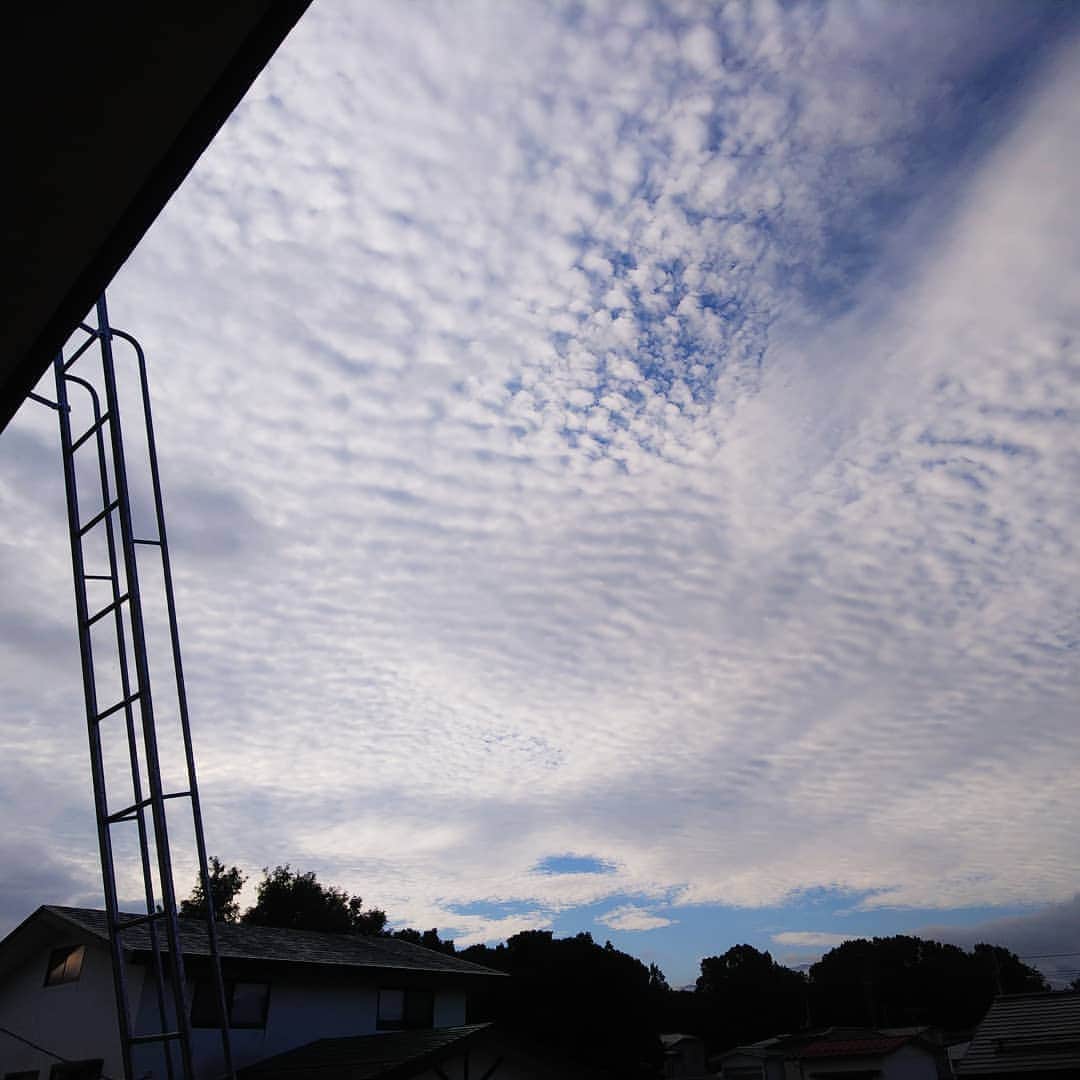 みながわゆみさんのインスタグラム写真 - (みながわゆみInstagram)「#おはようございます #今日も素敵な一日を #イマソラ #いまそら #青空 #くも #雲 #山並み #大好きな眺め #大好きな風景 #我が家のベランダからの眺め」8月18日 6時36分 - nama.09.19