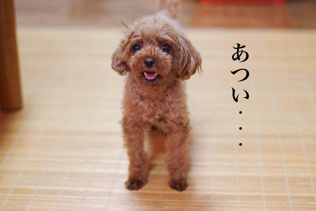水野智路のインスタグラム