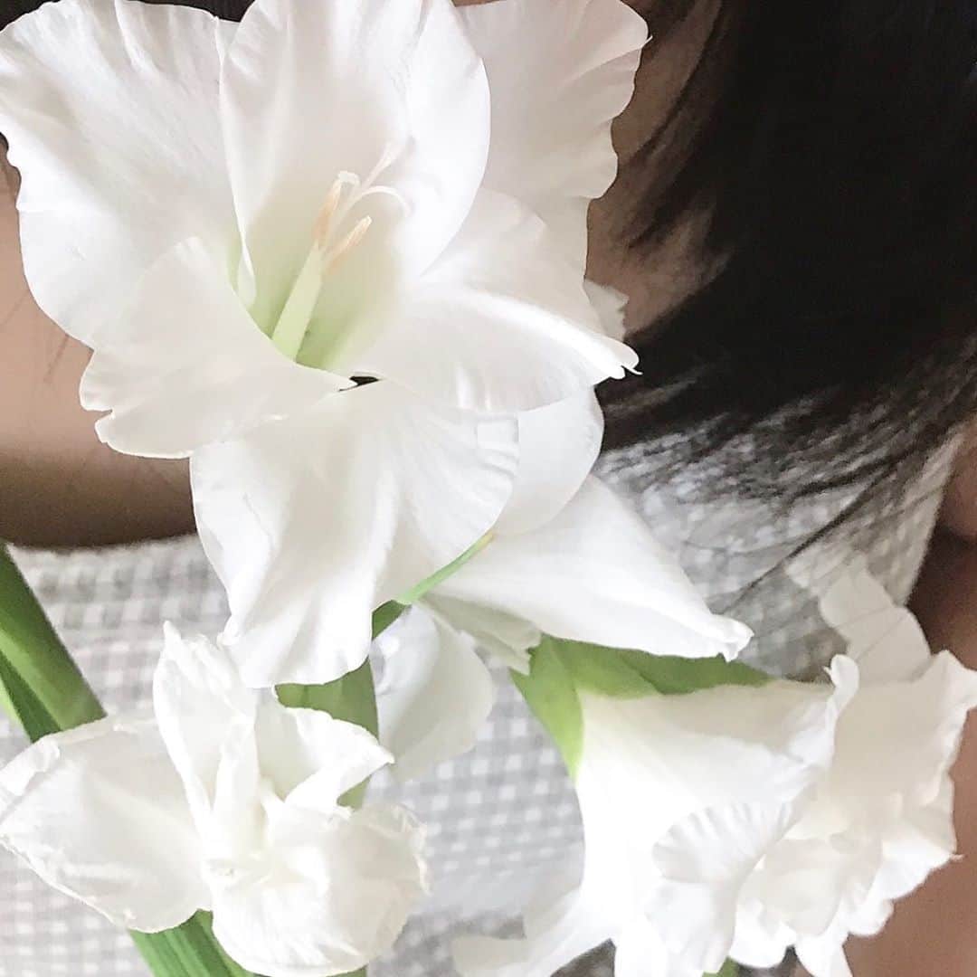 前野えまさんのインスタグラム写真 - (前野えまInstagram)「グラジオラス🌱  真っ白な花って目を奪われます。 暑さを忘れるほど部屋が爽やかになりました✨ ・ ・ #グラジオラス #白い花 #純白 #花 #花のある暮らし #お花好きな人と繋がりたい #花の写真 #花が好き   #gladiolus #white #flowers #whiteflowers #flowerstagram #flowerphotography #flowerlovers  #followme #tagsforlikes #tflers #tagsforlikesapp #actress #actor #girl #photography #portrait #portraitphotography #daily_phot_jpn #japan_daytime_view」8月18日 7時23分 - maeno_ema