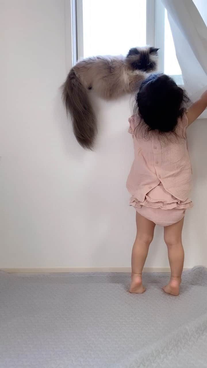 plumeのインスタグラム