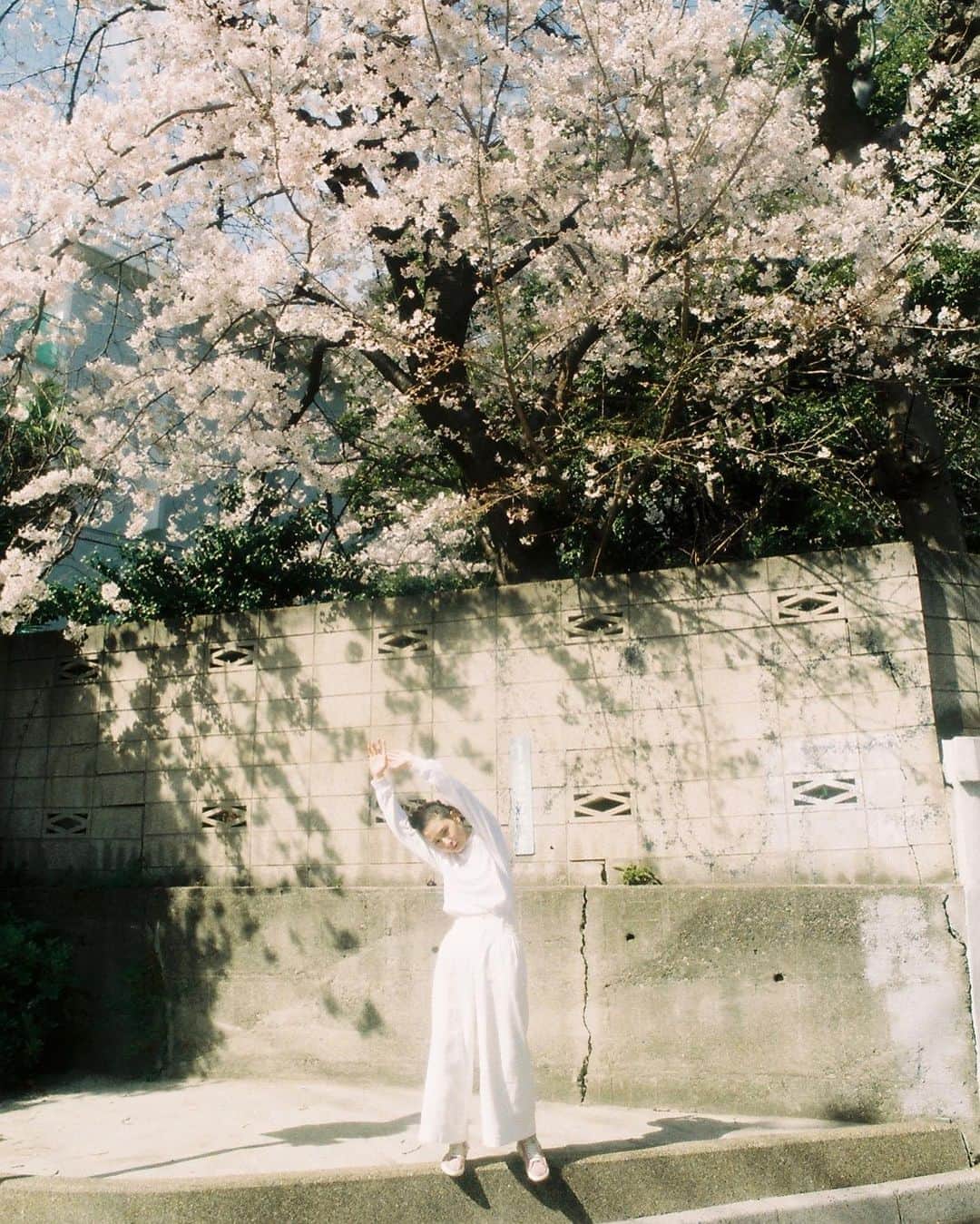 のインスタグラム：「#エマ散歩話してちょうだい  近日中に、新しいゲストをお呼びした回が公開になります。 みんなの憧れ、あの人です！ おたのしみに！ 写真　@marinko5589  ヘアメイク　@yamamotorisako」