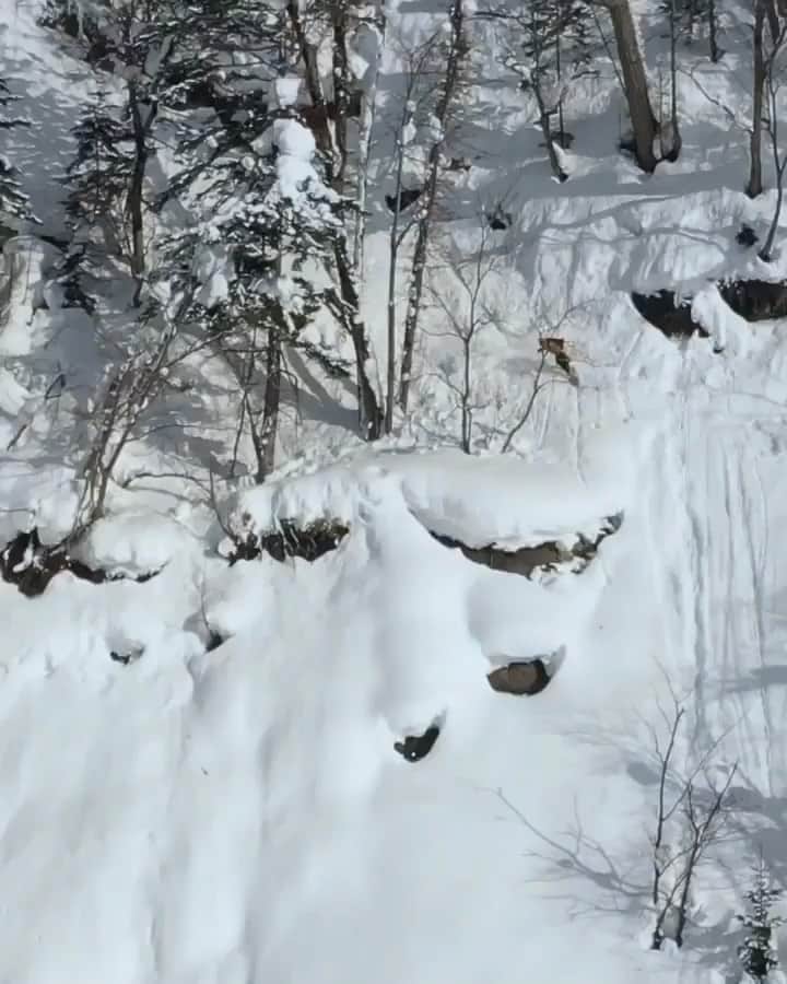 中井孝治のインスタグラム