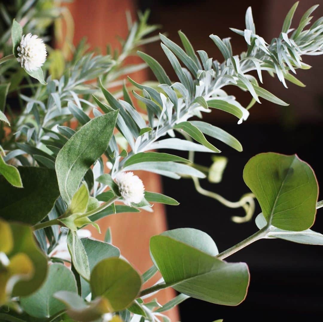 MILLE ECLAT.のグルメインスタ