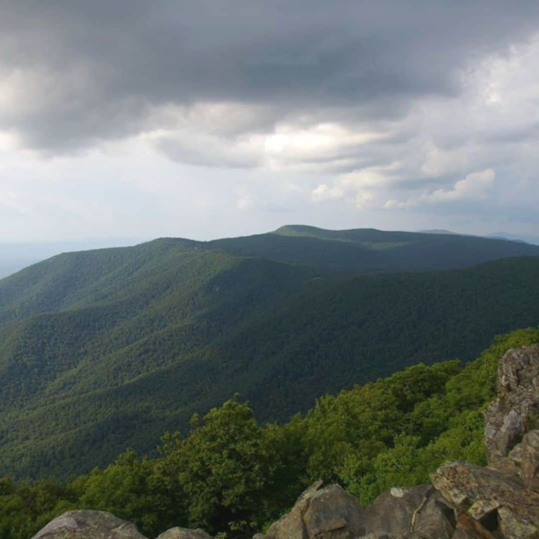 アメリカ内務省さんのインスタグラム写真 - (アメリカ内務省Instagram)「Ancient mountains built up, worn down, built back up and worn back down again over the course of 1.2 billion years, the Blue Ridge Mountains are the backbone of Shenandoah National Park in #Virginia. Once as imposing as the Rocky Mountains, only two peaks in the park crest higher than 4,000 feet now. Time and erosion smoothed rough edges and trees carpet the languid curves and slopes. Summer is the season of quick storms and steady birdsong, long hikes and easy daydreams. It is literally a breath of fresh air. Photo @ShenandoahNPS by #NationalPark Service. #Shenandoah #usinterior」8月18日 9時10分 - usinterior