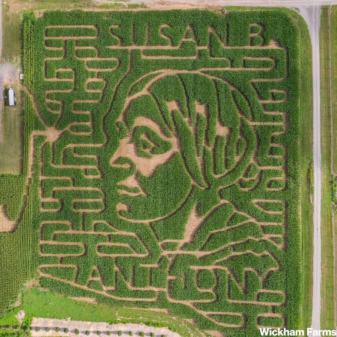 ABC Newsさんのインスタグラム写真 - (ABC NewsInstagram)「A corn maze at Wickham Farms in Upstate New York celebrates the life of suffrage pioneer Susan B. Anthony. Tuesday is the 100th anniversary of the ratification of the 19th Amendment giving women the constitutional right to vote.」8月18日 9時14分 - abcnews