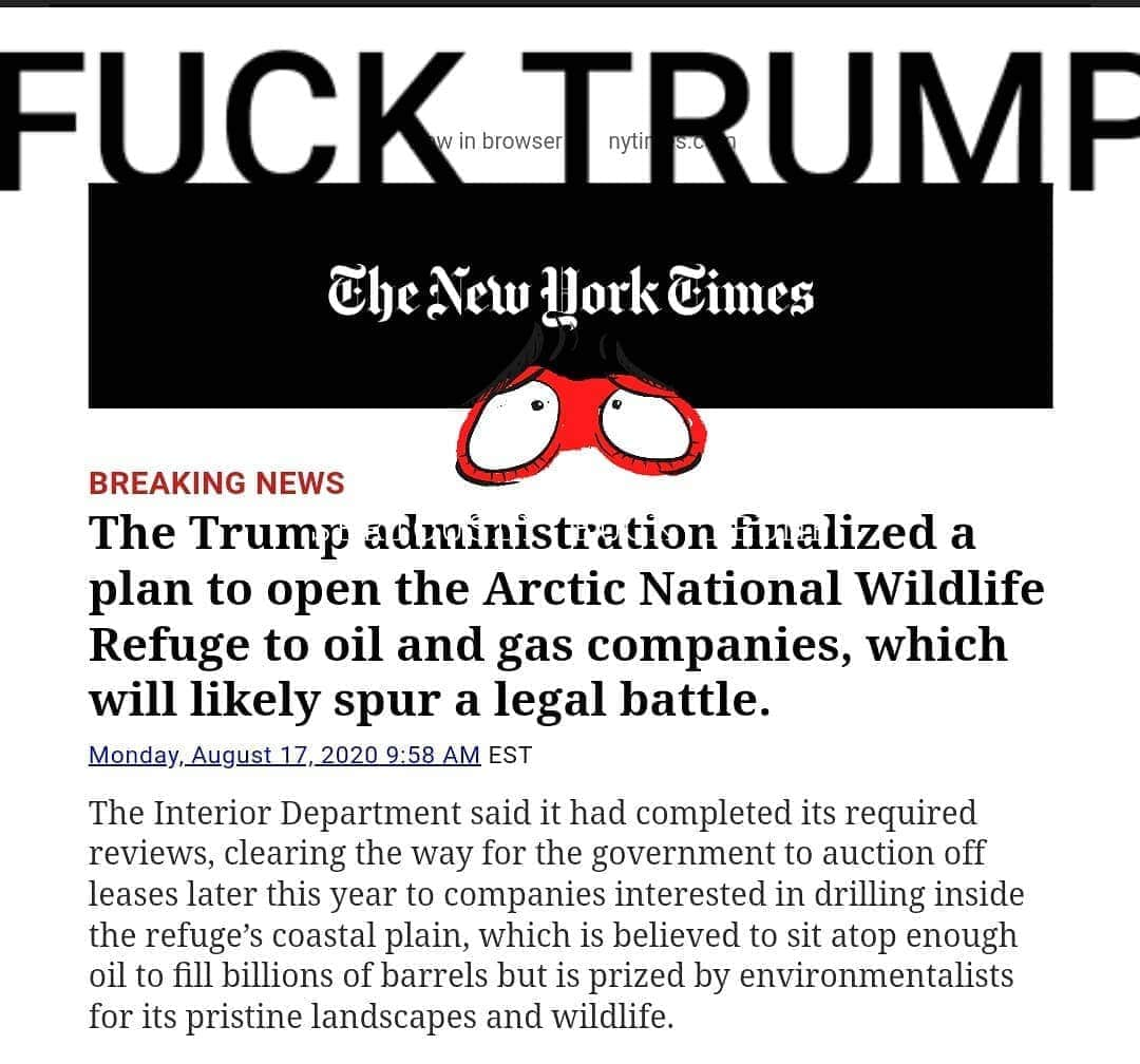 ガソリングラマーさんのインスタグラム写真 - (ガソリングラマーInstagram)「Fuck trump save the Arctic national wildlife refuge no more fucking oil drilling we don't fucking need it #arctic  @nytimes #nytimes oil use is decreasing #alaska #savealaska」8月18日 9時32分 - gasolineglamour