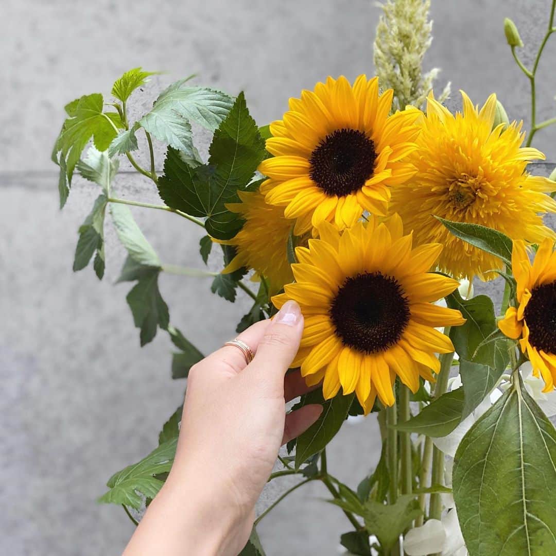 野原遥さんのインスタグラム写真 - (野原遥Instagram)「#summer #sunflower _ おはよう~☀ _ 見るだけでパッと明るい気分になれるヒマワリ🌻 花言葉は「憧れ」なんだって☺️♡ _ 花言葉までを知っておくとよりお花を愛せるよね❤️ _ #お花のある暮らし  #ひまわり  #花言葉  #夏の花」8月18日 9時43分 - noharu1021