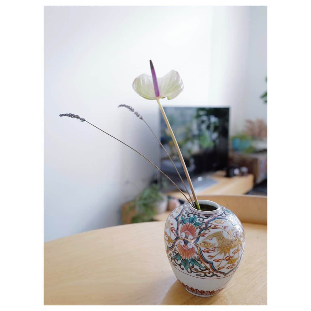 土井地恵理子さんのインスタグラム写真 - (土井地恵理子Instagram)「・ 先日、骨董品屋で 九谷焼のvaseを。 ・ 一度割れてしまったようで 丁寧に金継ぎされていて。 それもまた素敵で。 嬉しい❤︎ ・ ・ 味のあるvaseを集めたいこの頃。 ・ ・ #vase #花瓶 #花のある暮らし #myhome #インテリア #interior #lifestyle #ライフスタイル #d_home」8月18日 10時05分 - ericodoiji