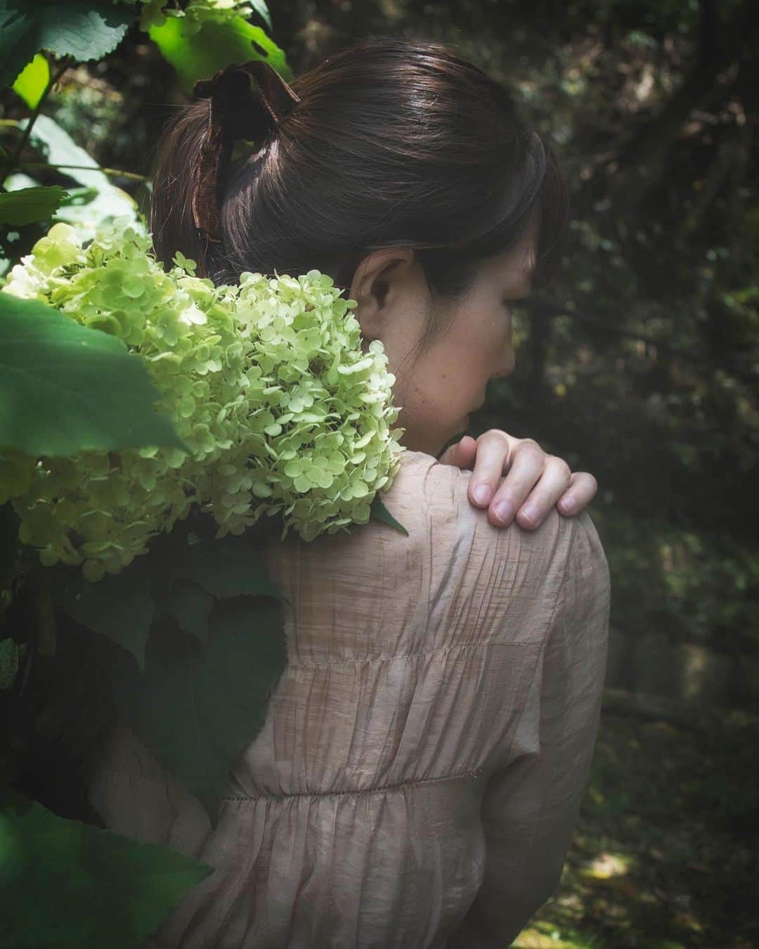 くーまんのインスタグラム：「white hydrangea💚  #team_jp_  #ig_photooftheday  #instagram #igersjp  #tv_living  #tv_soul  #art_of_japan  #reco_jp #transfer_visions #m3xtures  #rsa_mystery  #jj_sombre  #colorsjp #bestjapanpics #good_portraits_world #japan_bestpic_ #Rox_Captures #nipponpic #jp_mood #em1markⅱ #breakfree_olympus Lenz.17mm f1.8」