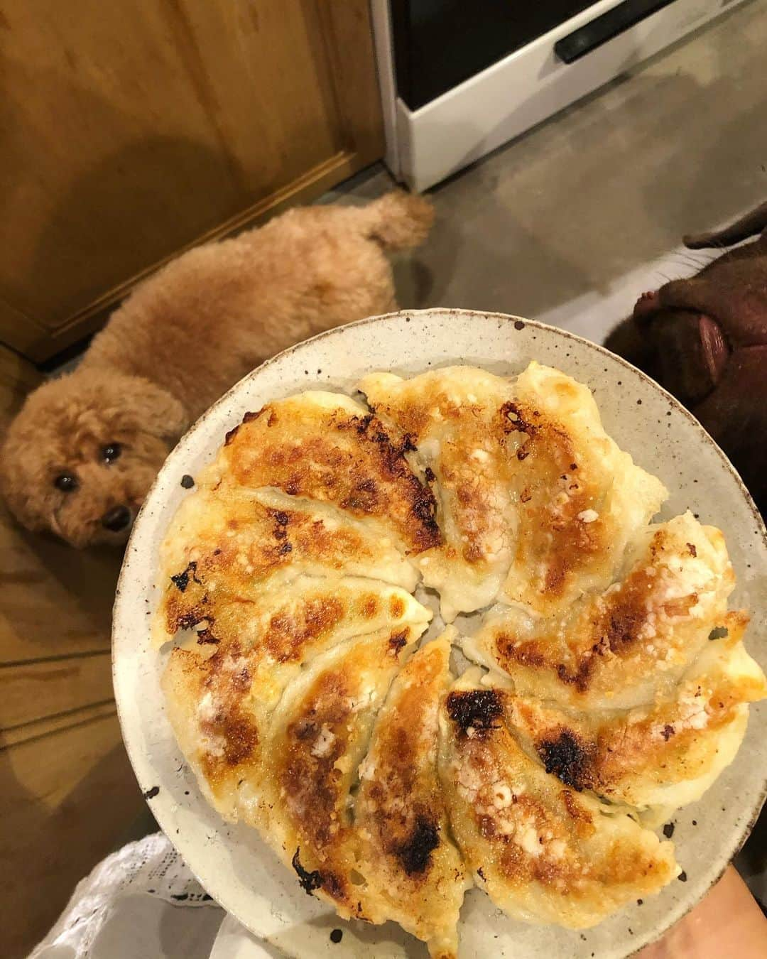 masakiさんのインスタグラム写真 - (masakiInstagram)「今宵は餃子🥟🧄 キャベツとニンニクたっぷりだわよん💋」8月18日 21時32分 - mogurapicassowols