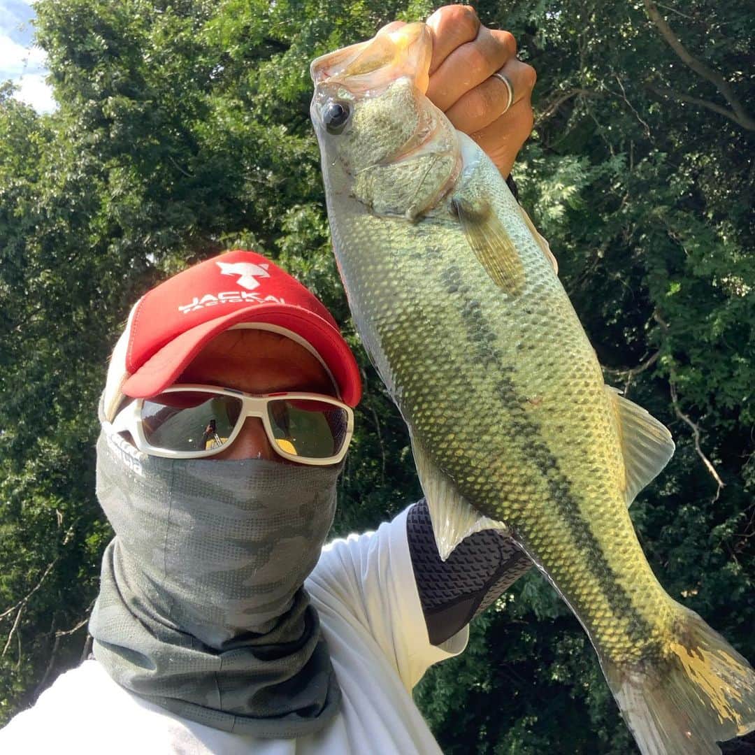 夛田凌輔のインスタグラム：「昨日のオフは、相模湖にバス釣り行ってきた🎣 色々と試しながら、、、見えバスに翻弄されながら、、、青木虫でバイトさせたけど、、、痛恨のラインブレイク🥶 そのあとなんとか釣れたけど、結構苦戦した。 まだまだやな。。。 バス釣り上手くなりたいなー 師匠教えてくれ @team_shomi   #相模湖 #ブラックバス #バス釣り #ジャッカル #シマノ」